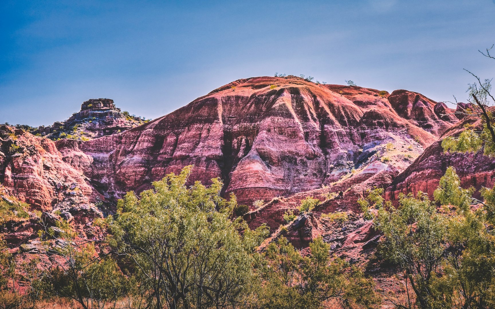  Photo Credit: Photo by K. Mitch Hodge on Unsplash
