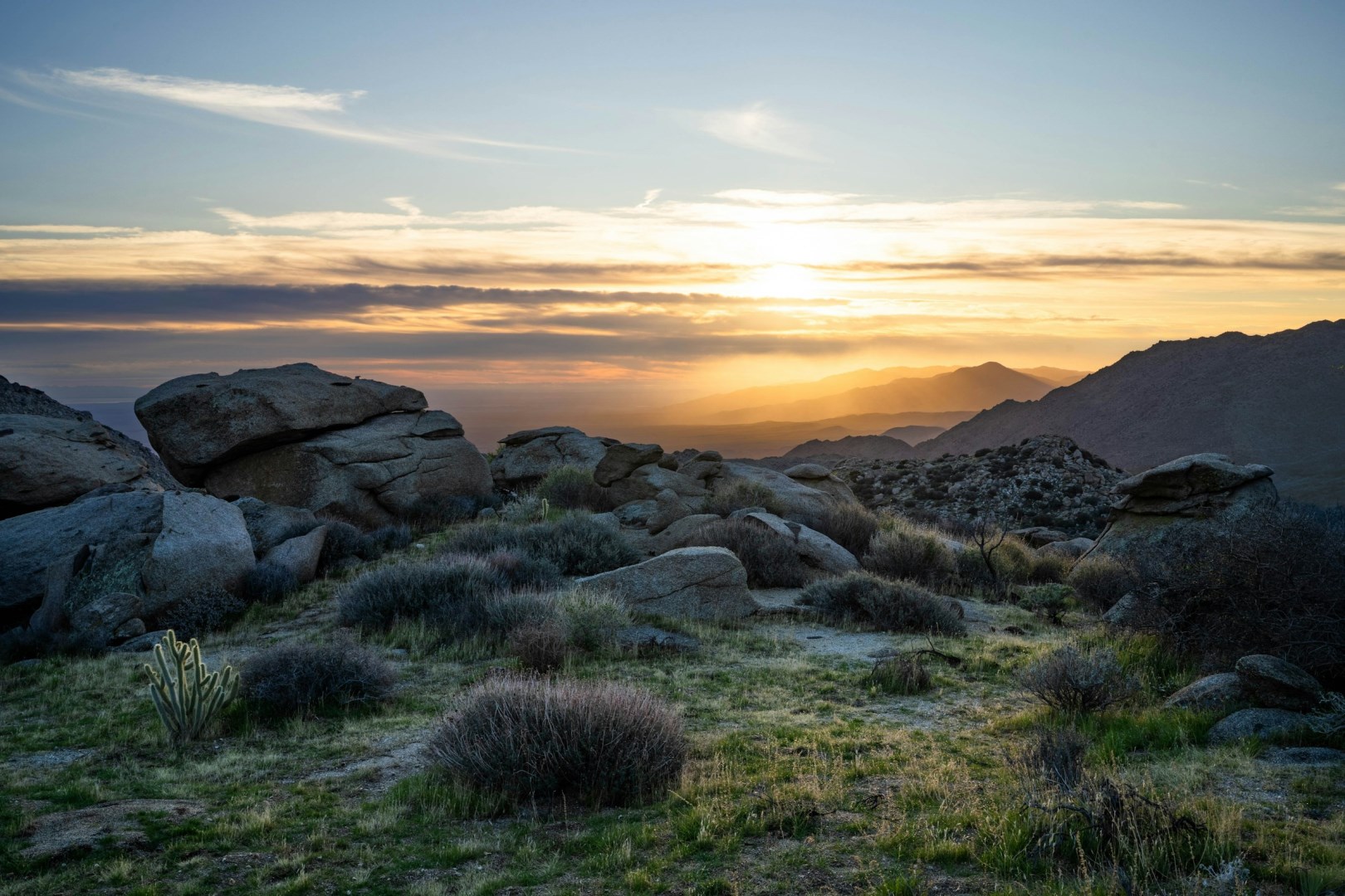  Photo Credit: Photo by Patrick Zeef on Unsplash