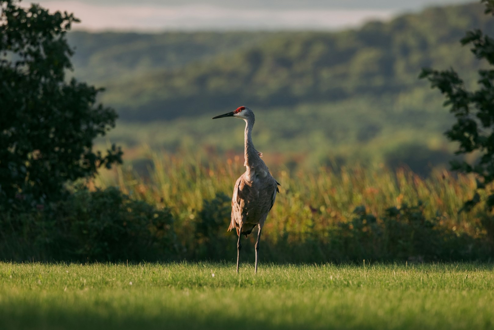  Photo Credit: Photo by Mark Olsen on Unsplash