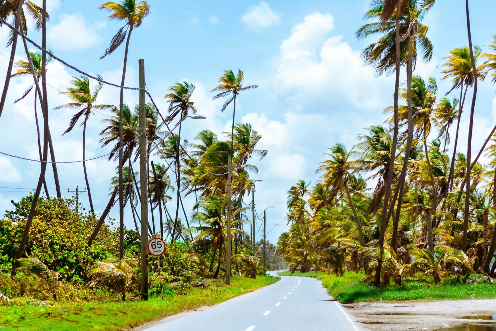 Mayaro Bay