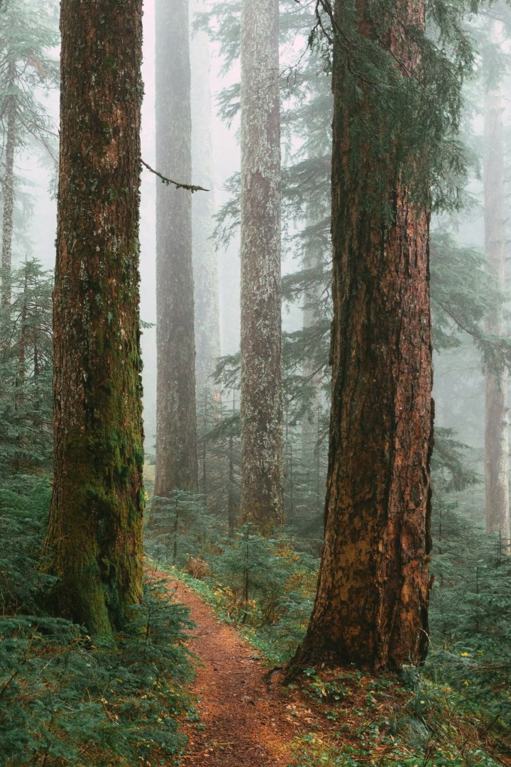  Photo Credit: Photo by Eric Muhr on Unsplash
