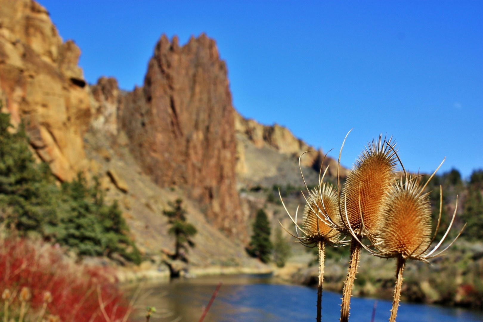 Smith Rock State Park