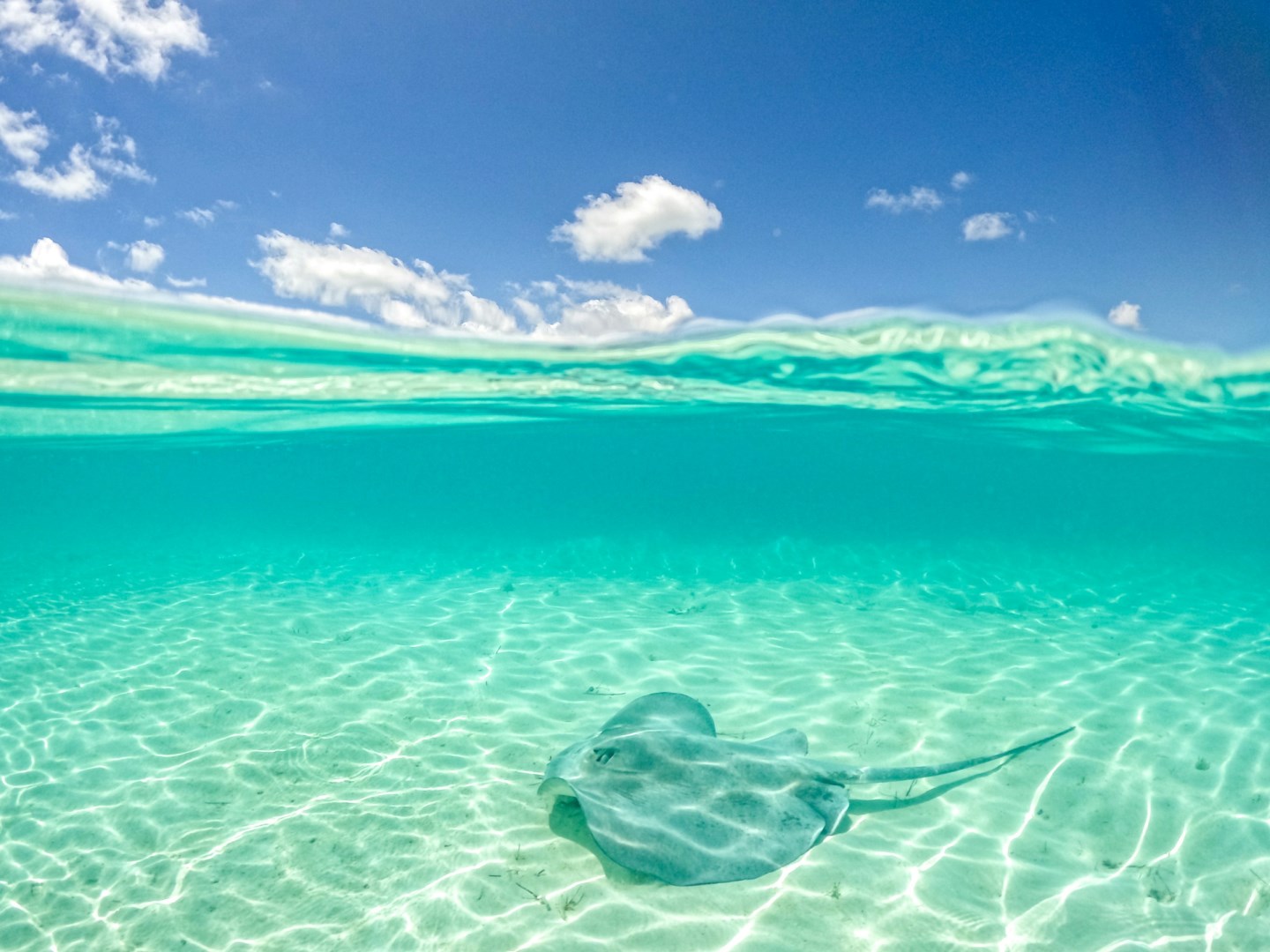 Exuma