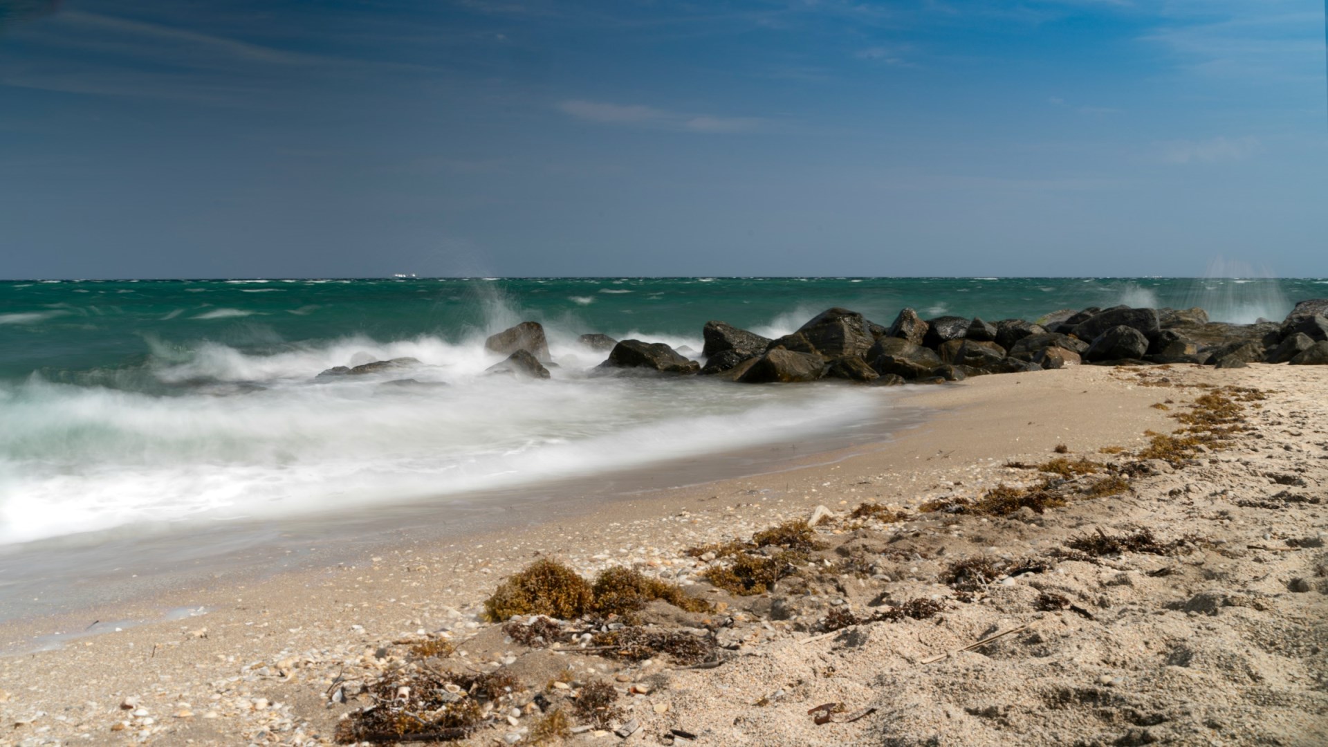  Photo Credit: Photo by Richard Sagredo on Unsplash