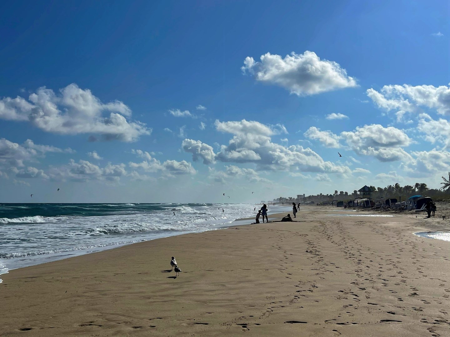  Photo Credit: Photo by Jeffrey Eisen on Unsplash