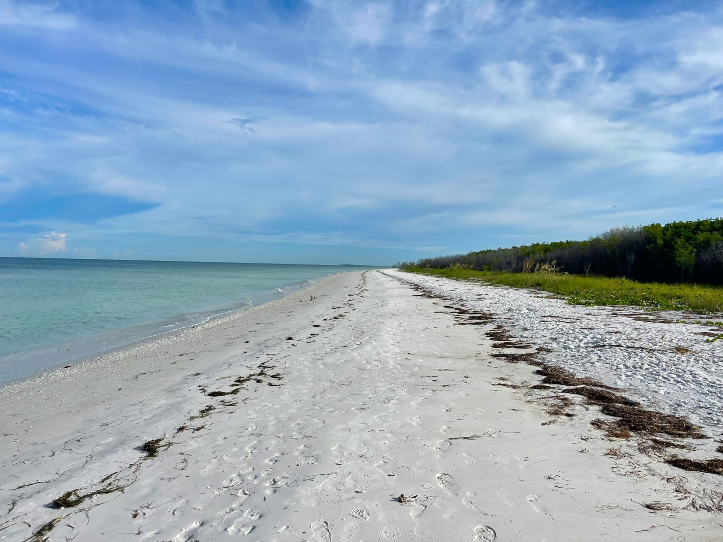 Honeymoon Island State Park - Photo Credit: Photo by Anita Denunzio on Unsplash