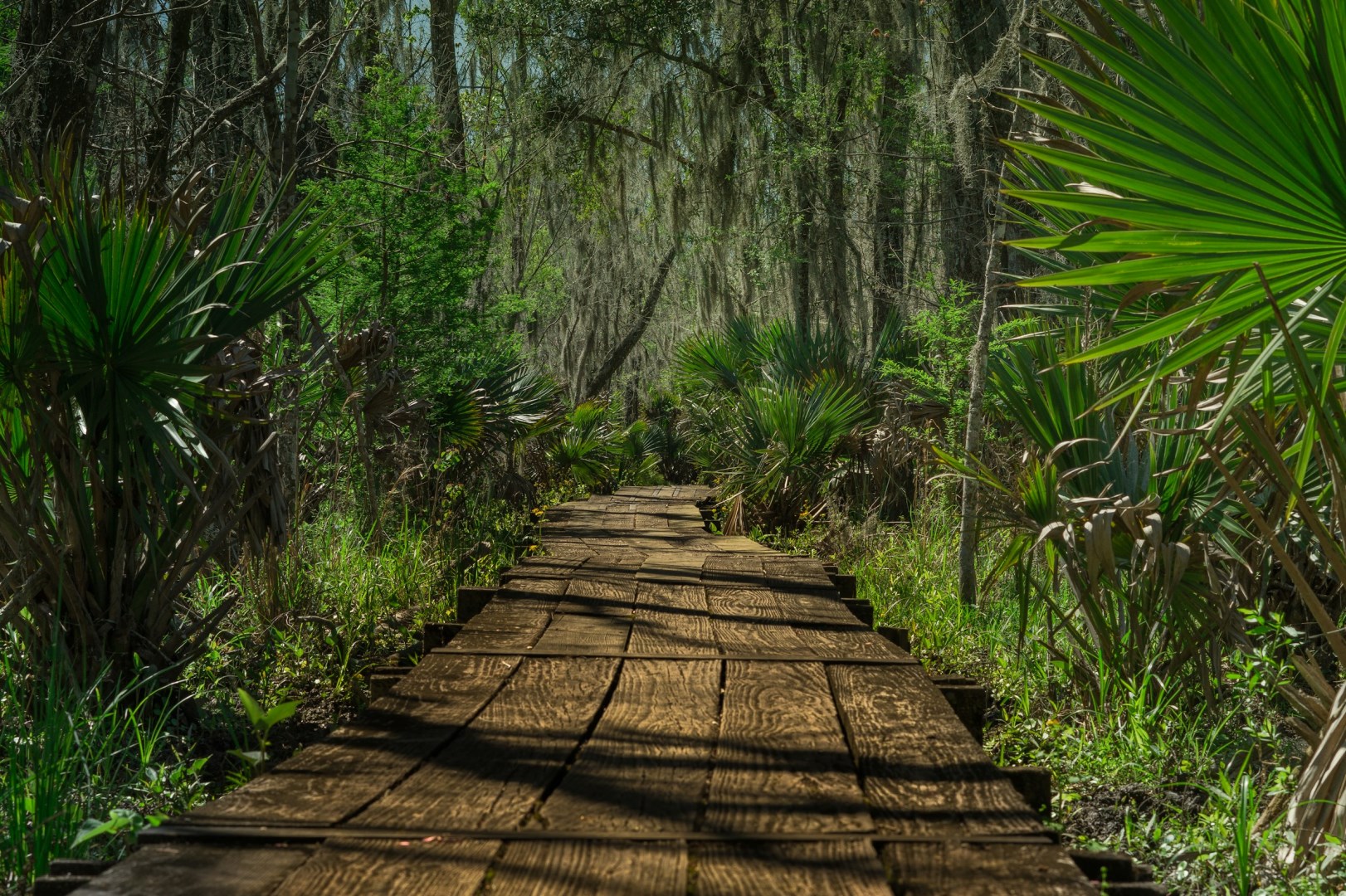 Jean Lafitte National Historical Park and Preserve