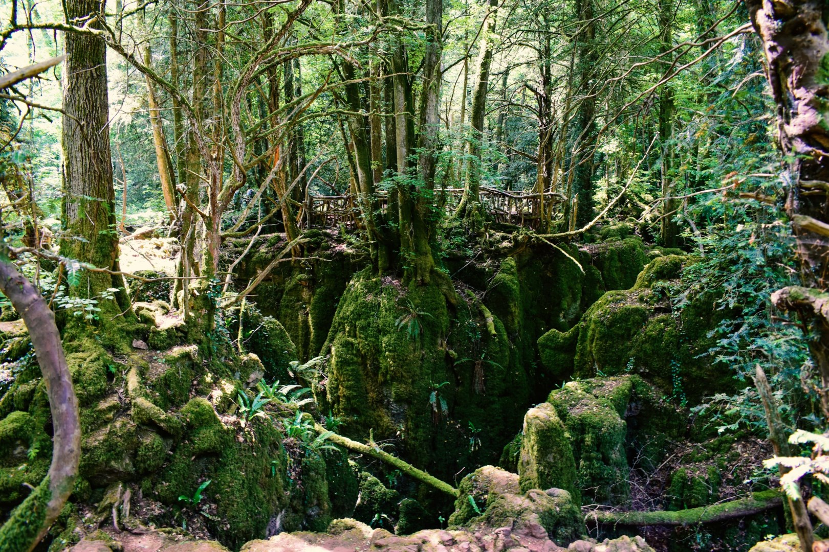 Puzzlewood