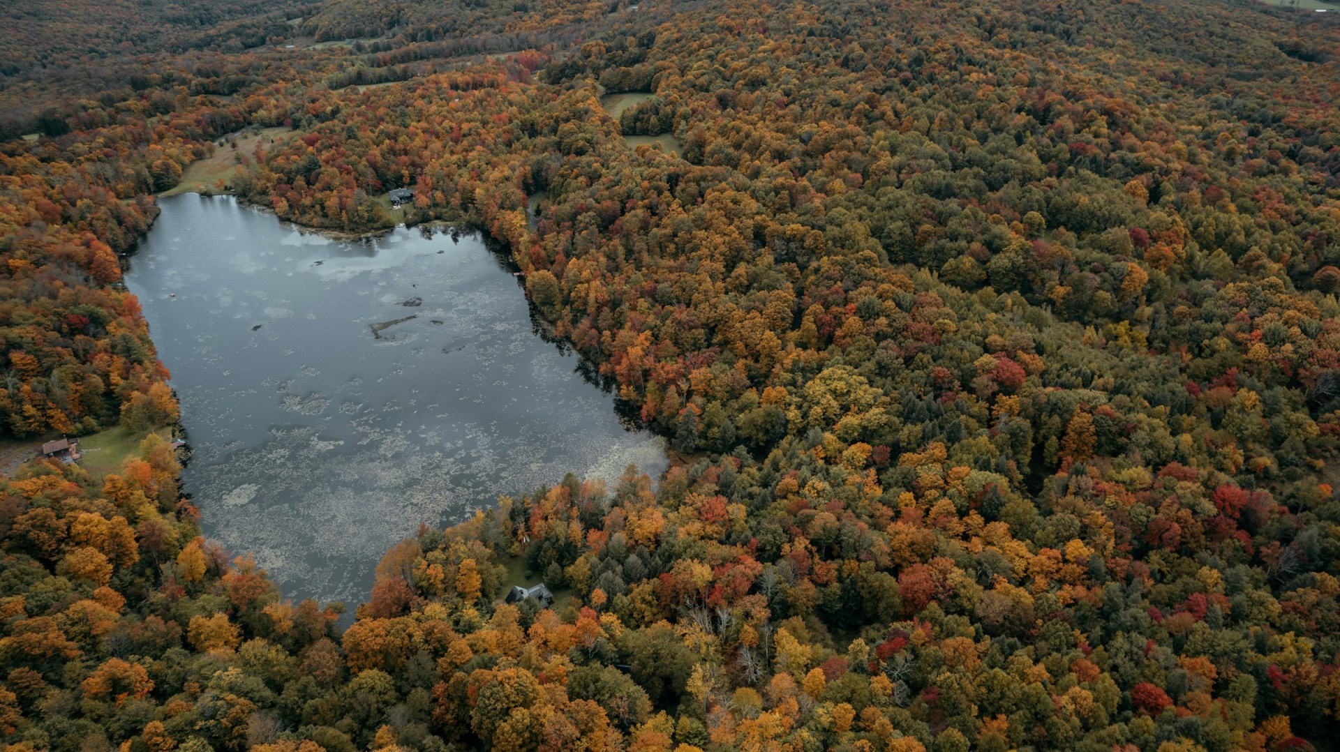 Catskill Mountains