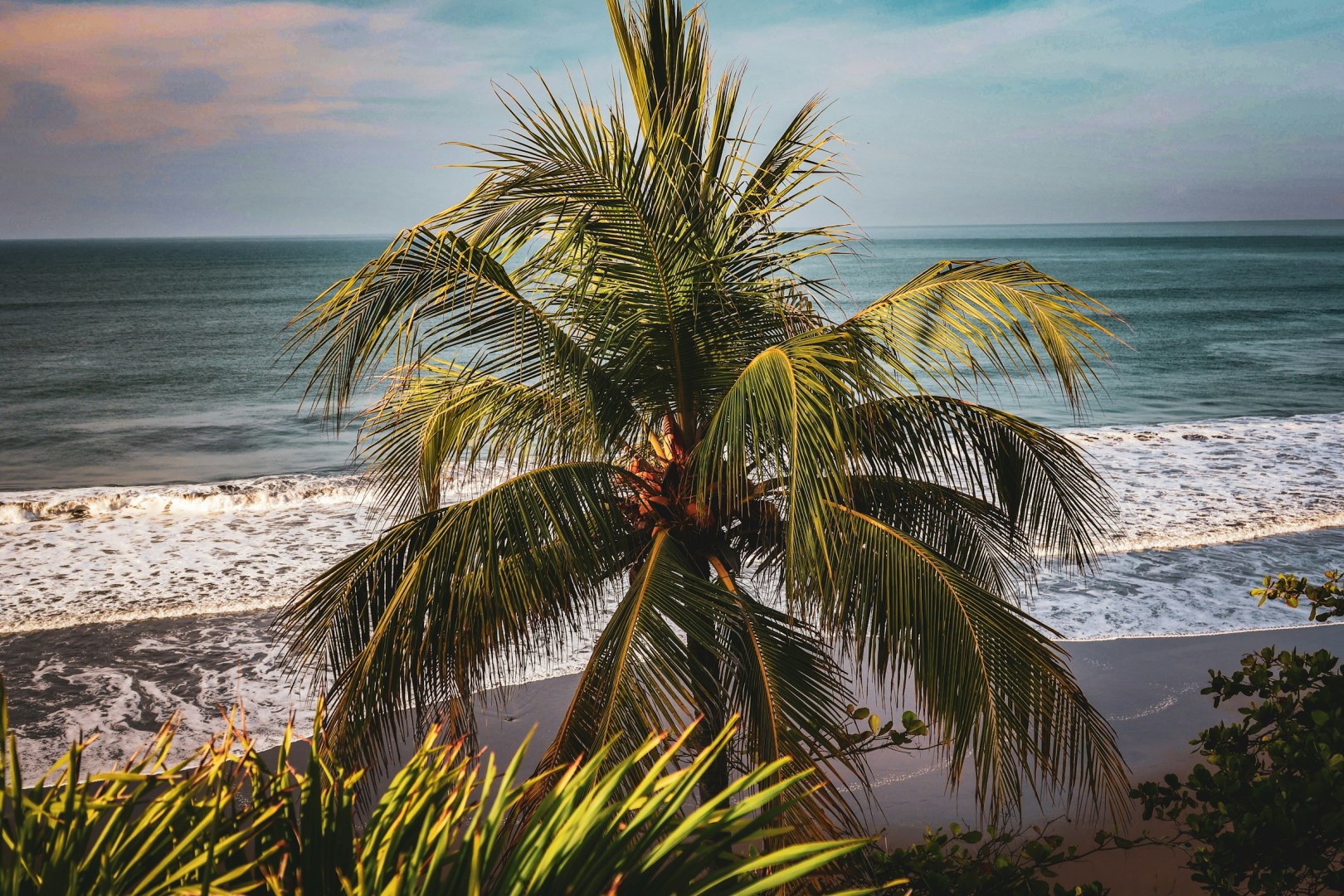  Photo Credit: Photo by Meg von Haartman on Unsplash