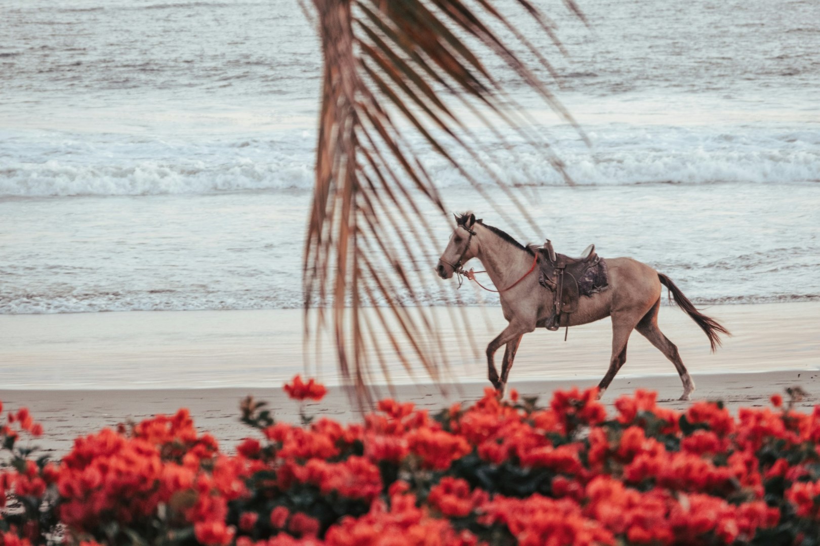  Photo Credit: Photo by Khalil Radi on Unsplash