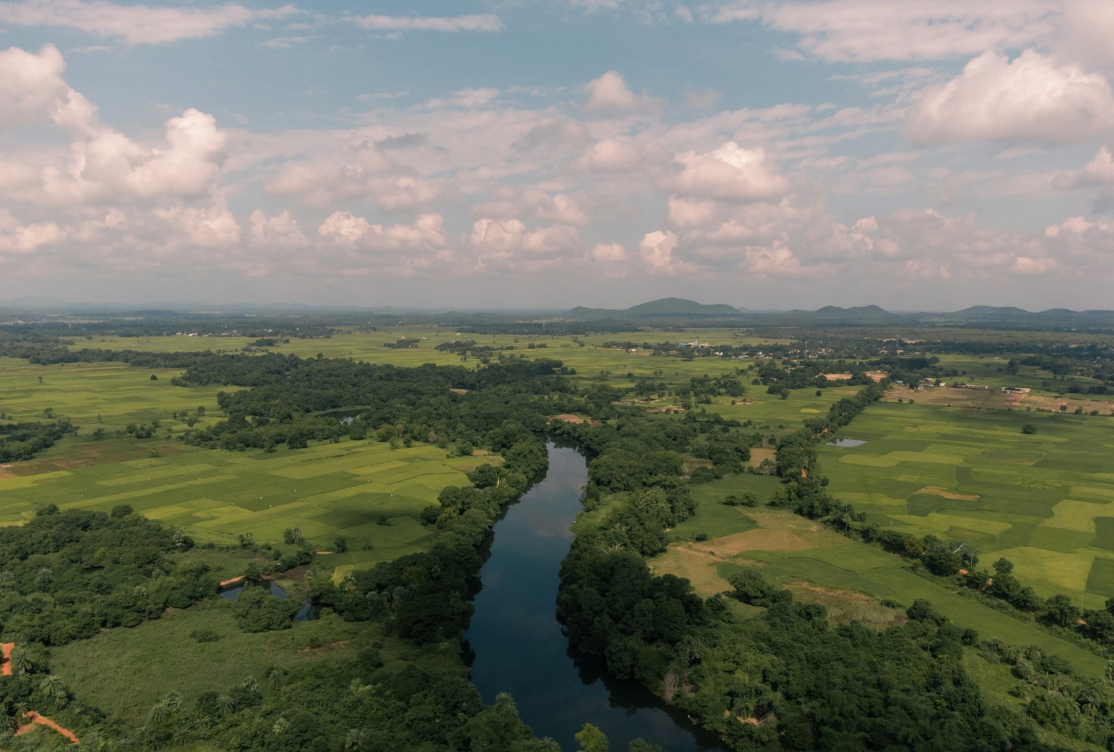  Photo Credit: Photo by Neeraj Pramanik on Unsplash