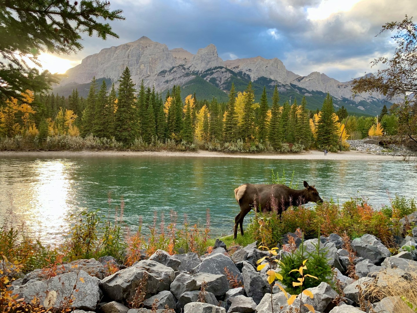 Bow River