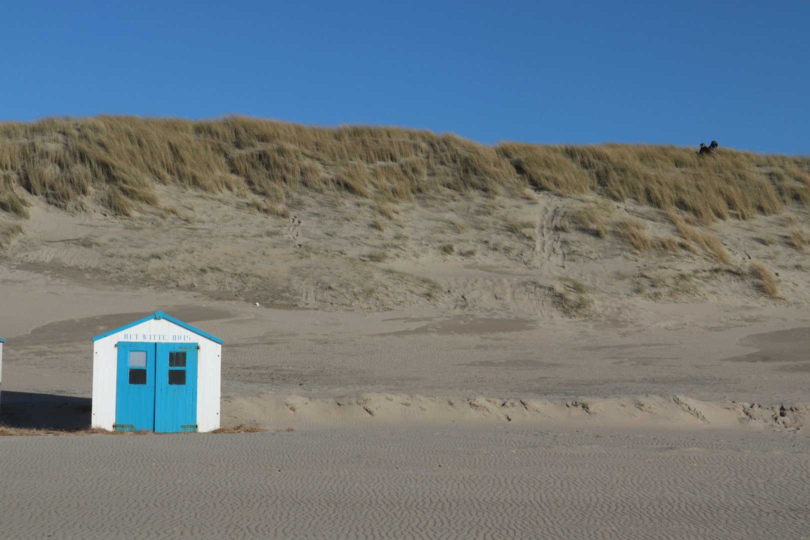  Photo Credit: Photo by Julia Taubitz on Unsplash