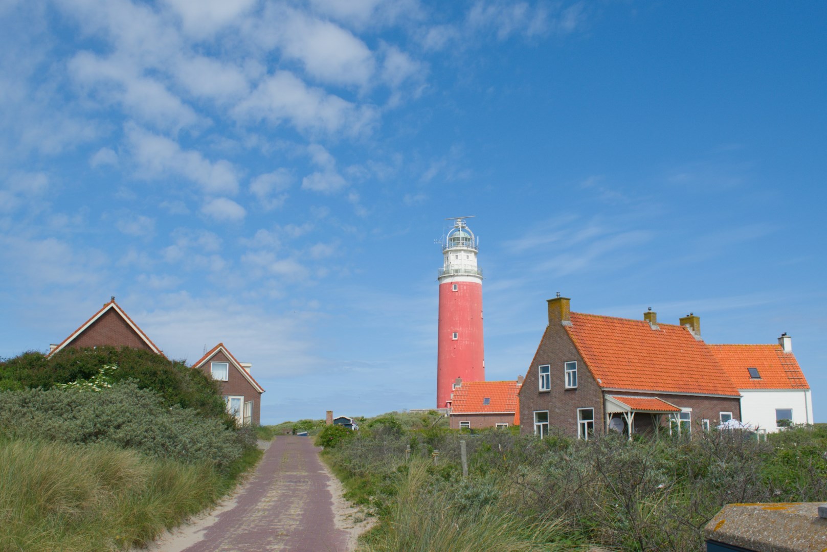 Texel
