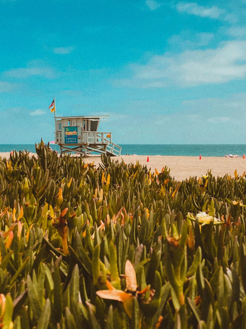  Photo Credit: Photo by Alec Krum on Unsplash