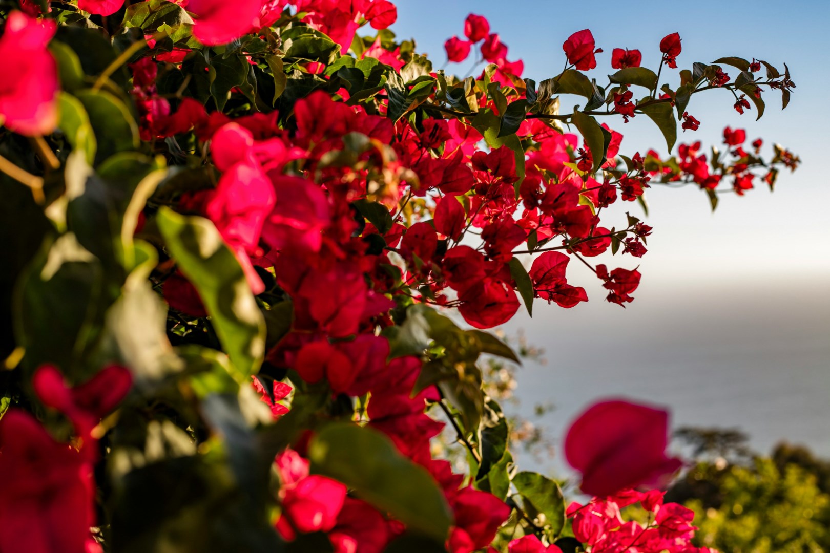  Photo Credit: Photo by amy lynn grover on Unsplash