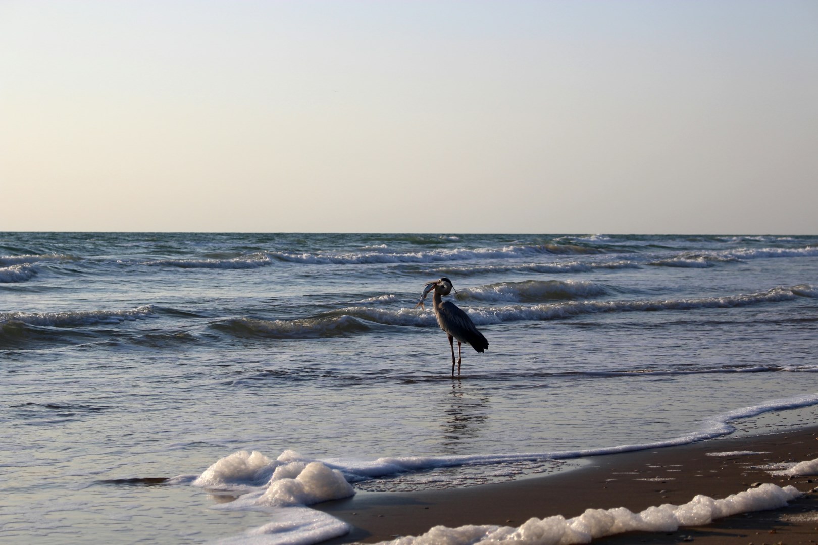  Photo Credit: Photo by Anna Brown on Unsplash