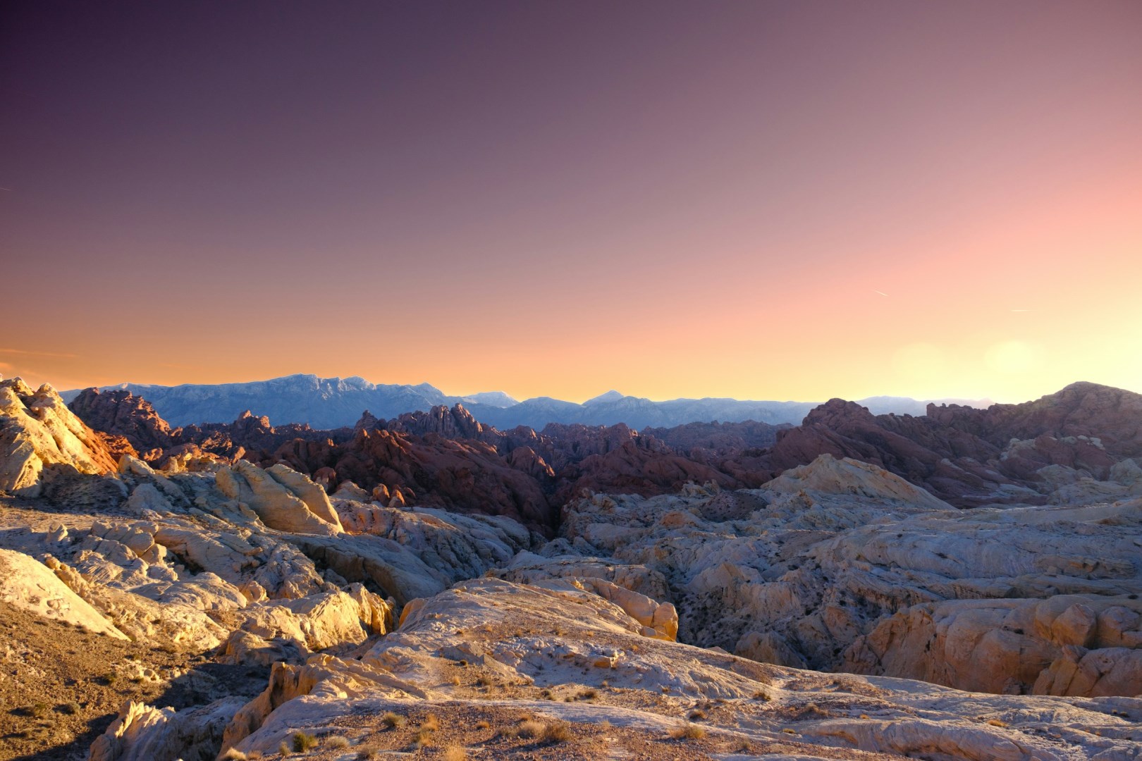  Photo Credit: Photo by Jasmeet Singh on Unsplash