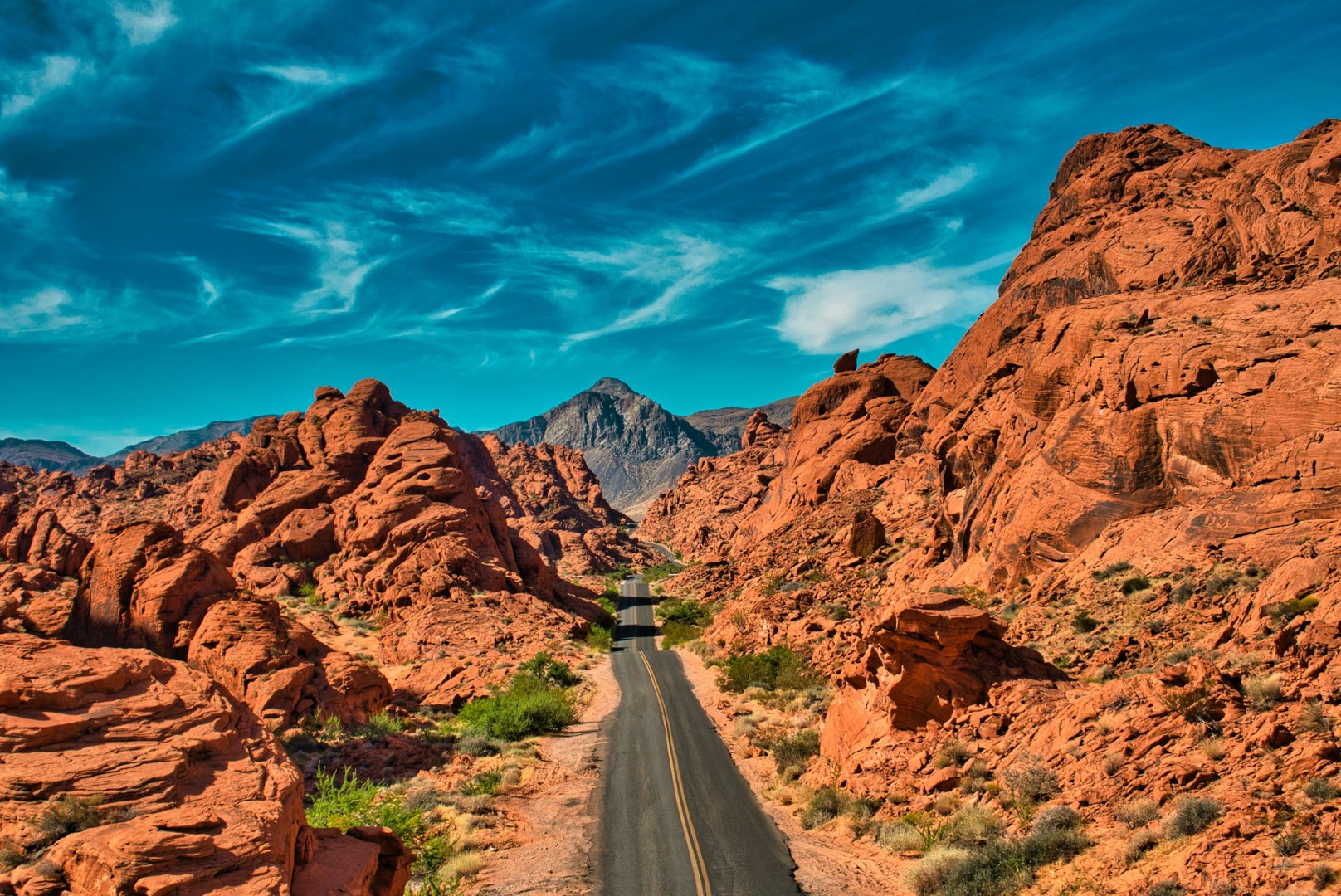  Photo Credit: Photo by Stin-Niels Musche on Unsplash