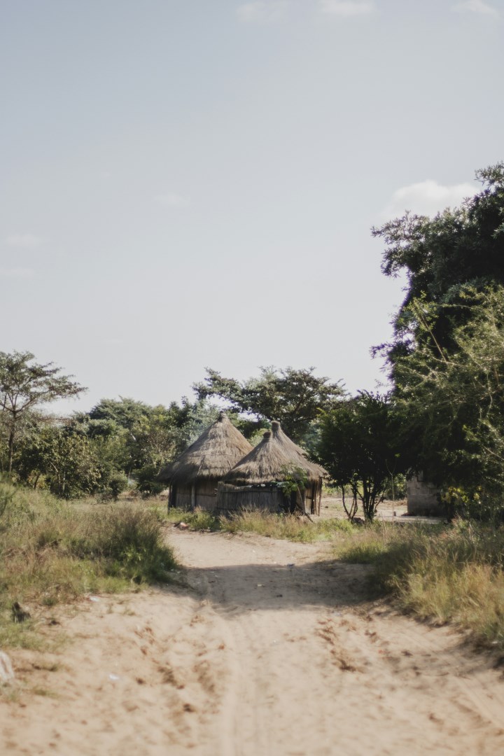  Photo Credit: Photo by Zeke Tucker on Unsplash