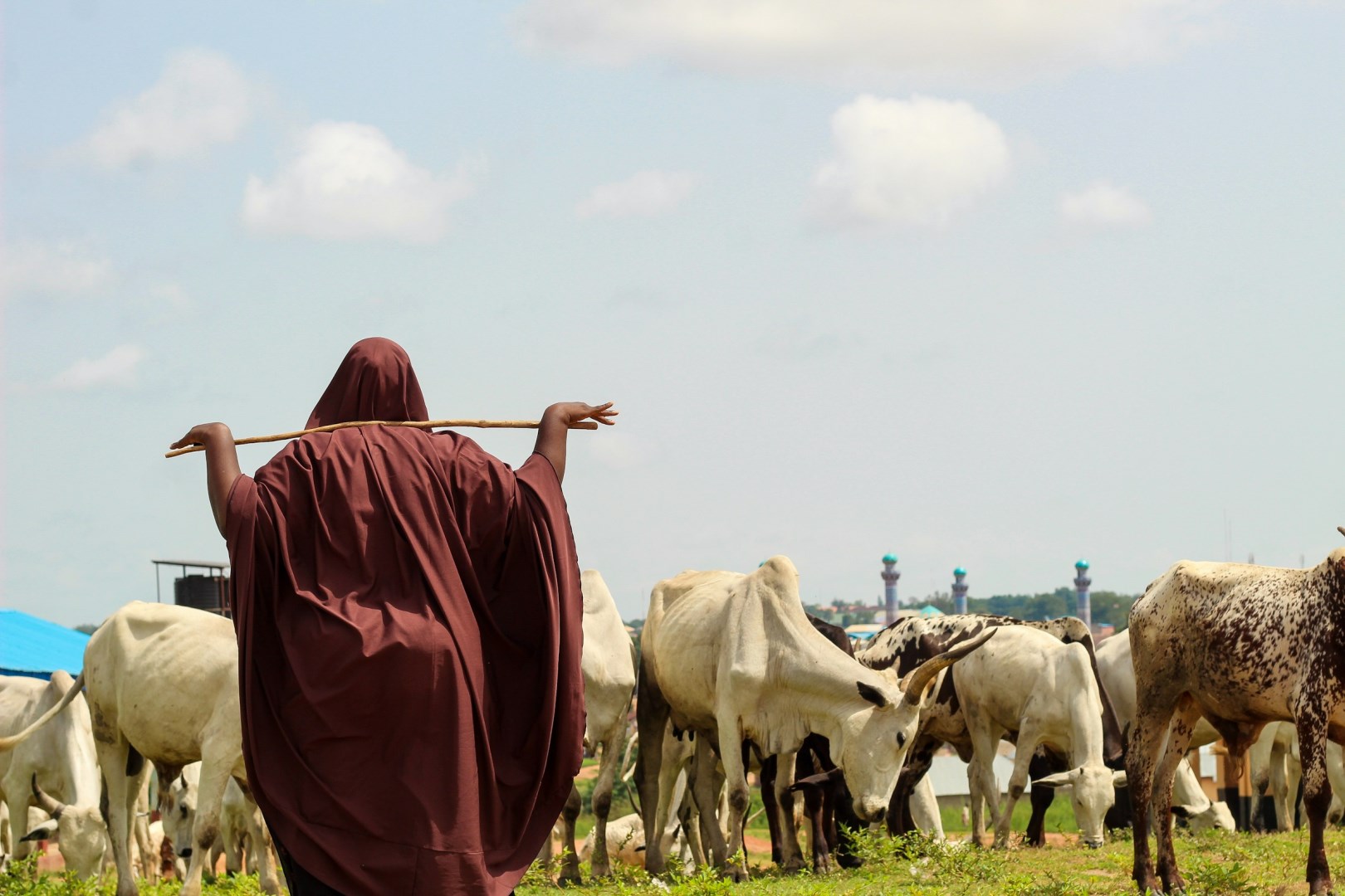 Lafia