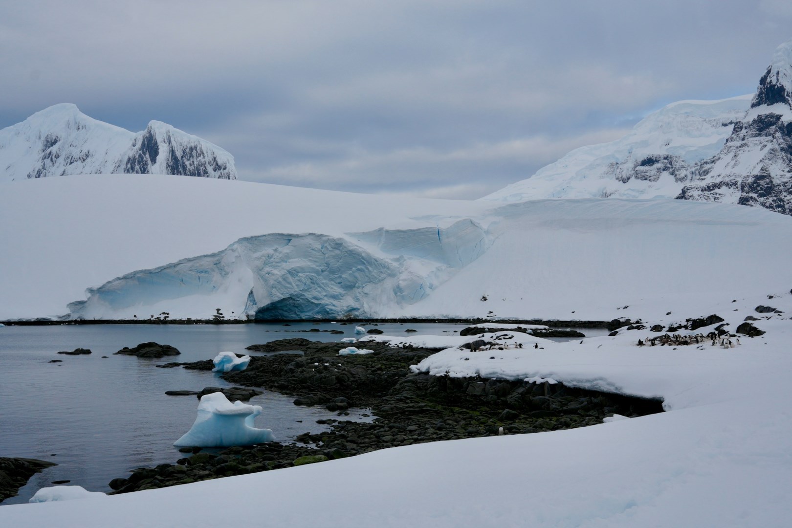 Wiencke Island