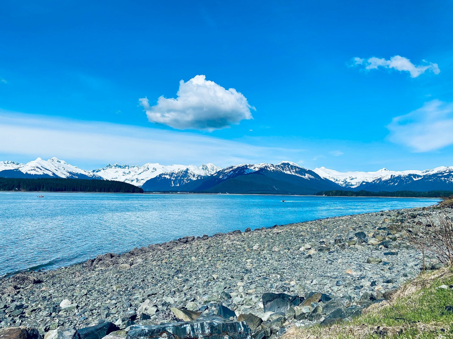  Photo Credit: Photo by Kathrine Coonjohn on Unsplash