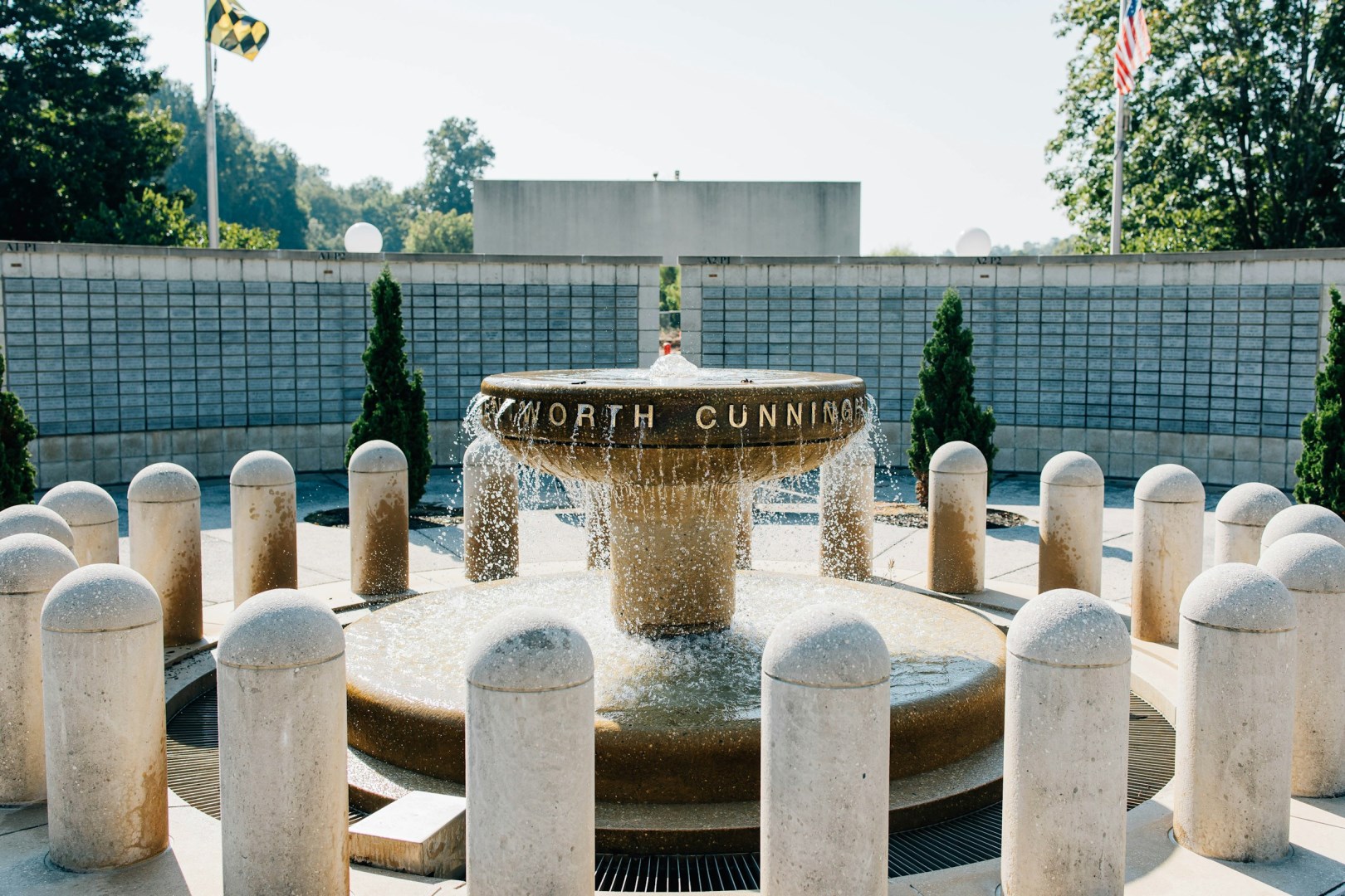  Photo Credit: Photo by Alexis Turnbull on Unsplash