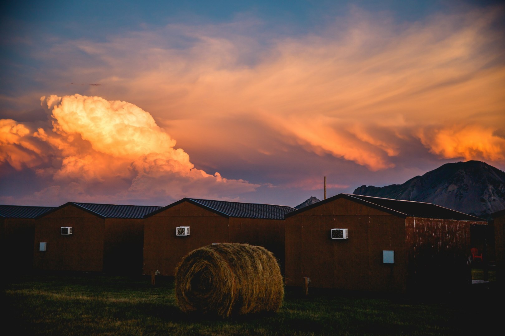  Photo Credit: Photo by Jessica Christian on Unsplash