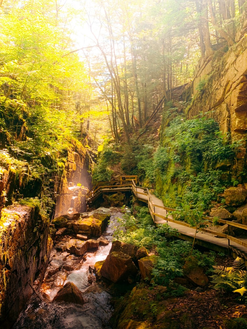  Photo Credit: Photo by Drew Trembley on Unsplash