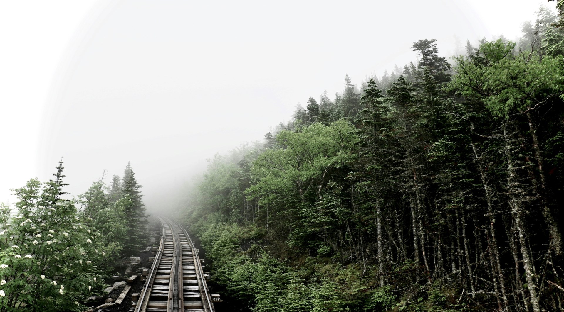  Photo Credit: Photo by Peter Jackson on Unsplash
