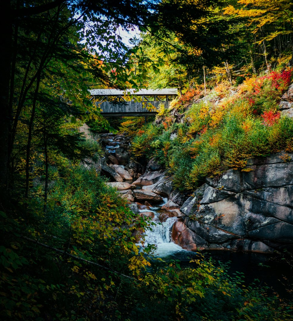 The Flume, Flume Gorge - Photo Credit: Photo by Greg Willson on Unsplash