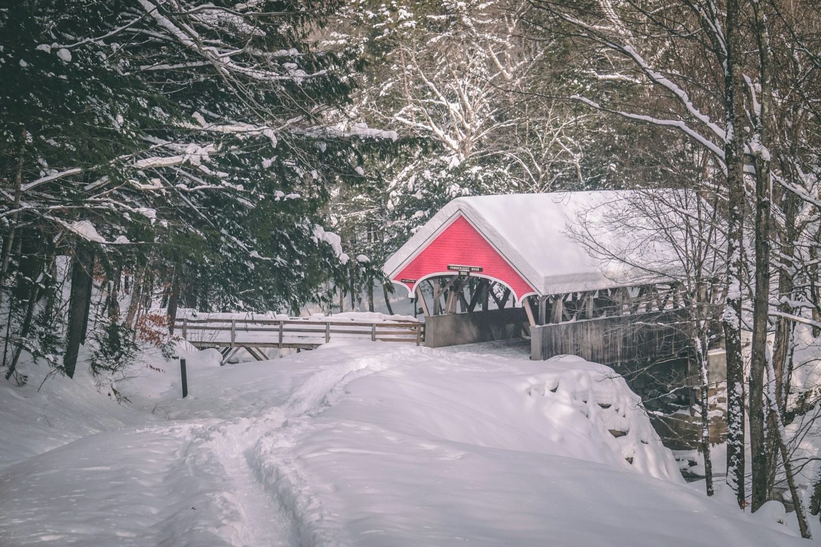  Photo Credit: Photo by Matt LaVasseur on Unsplash