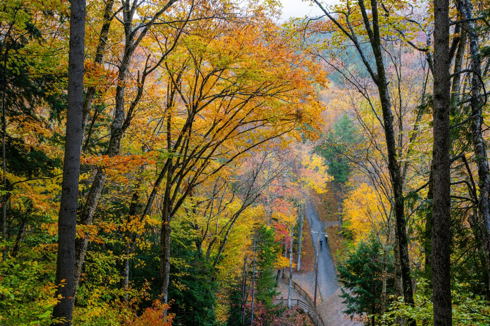  Photo Credit: Photo by Bryan Dickerson on Unsplash