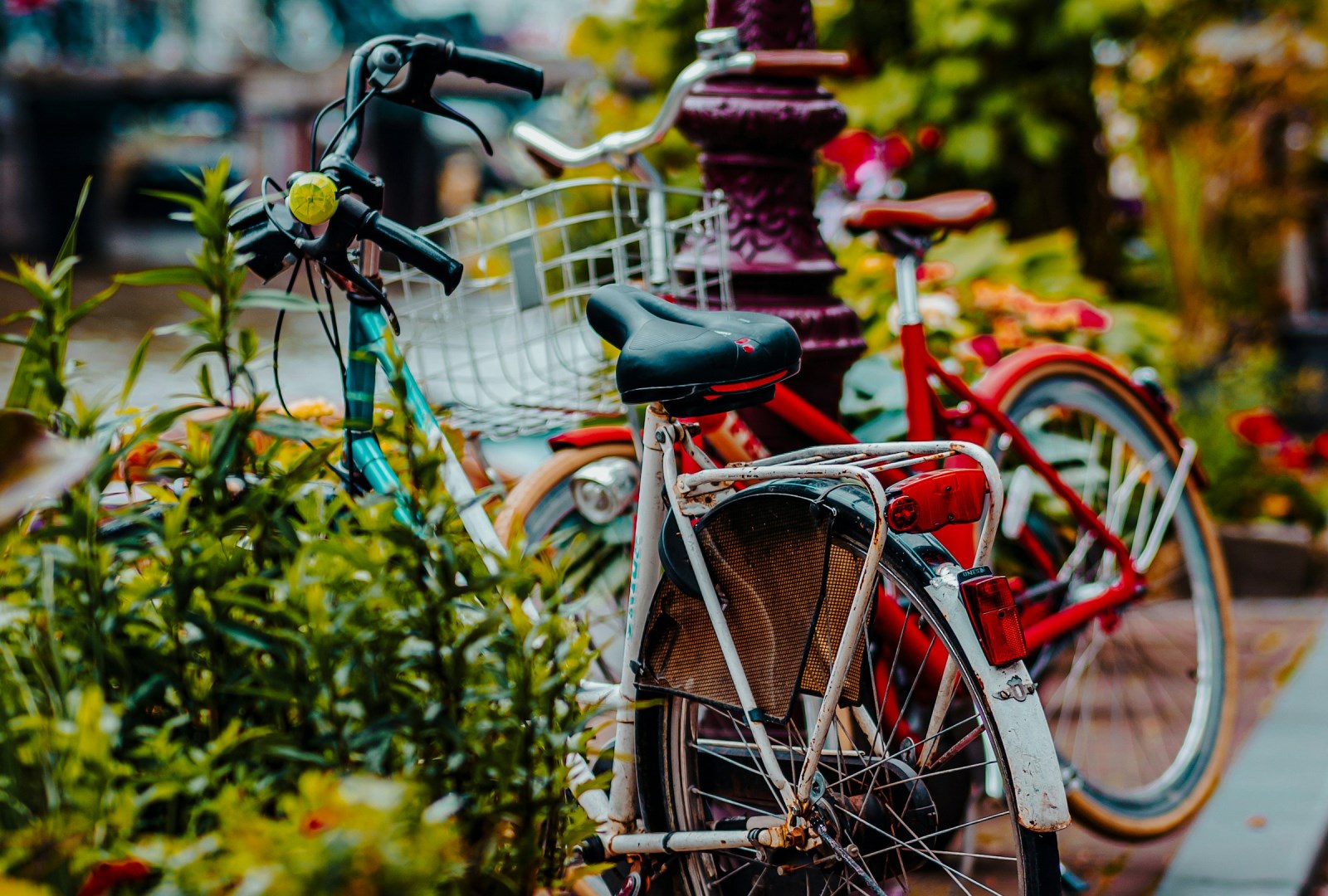  Photo Credit: Photo by Jahanzeb Ahsan on Unsplash