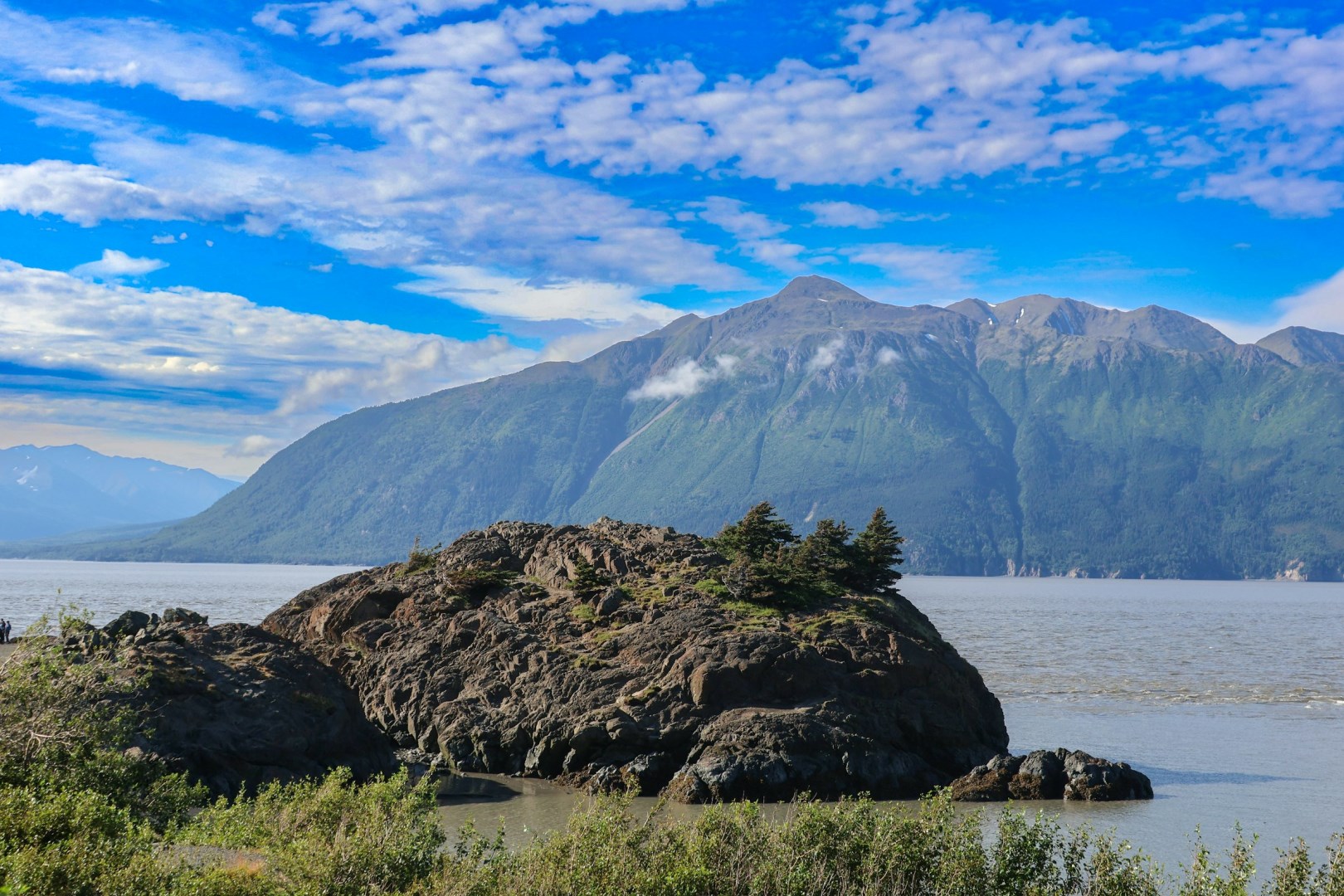 Potter Marsh - Photo Credit: Photo by Meg von Haartman on Unsplash