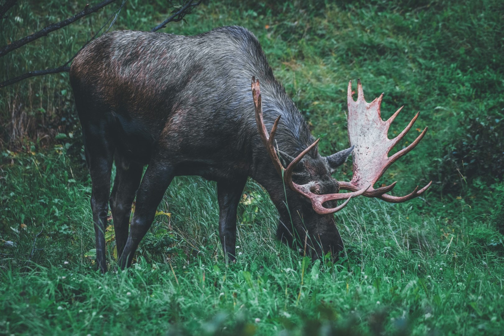  Photo Credit: Photo by Corey Simoneau on Unsplash