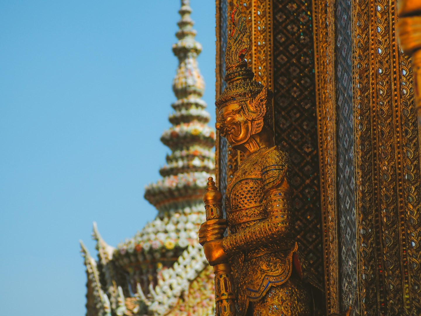  Photo Credit: Photo by Gonzalo Moreira on Unsplash