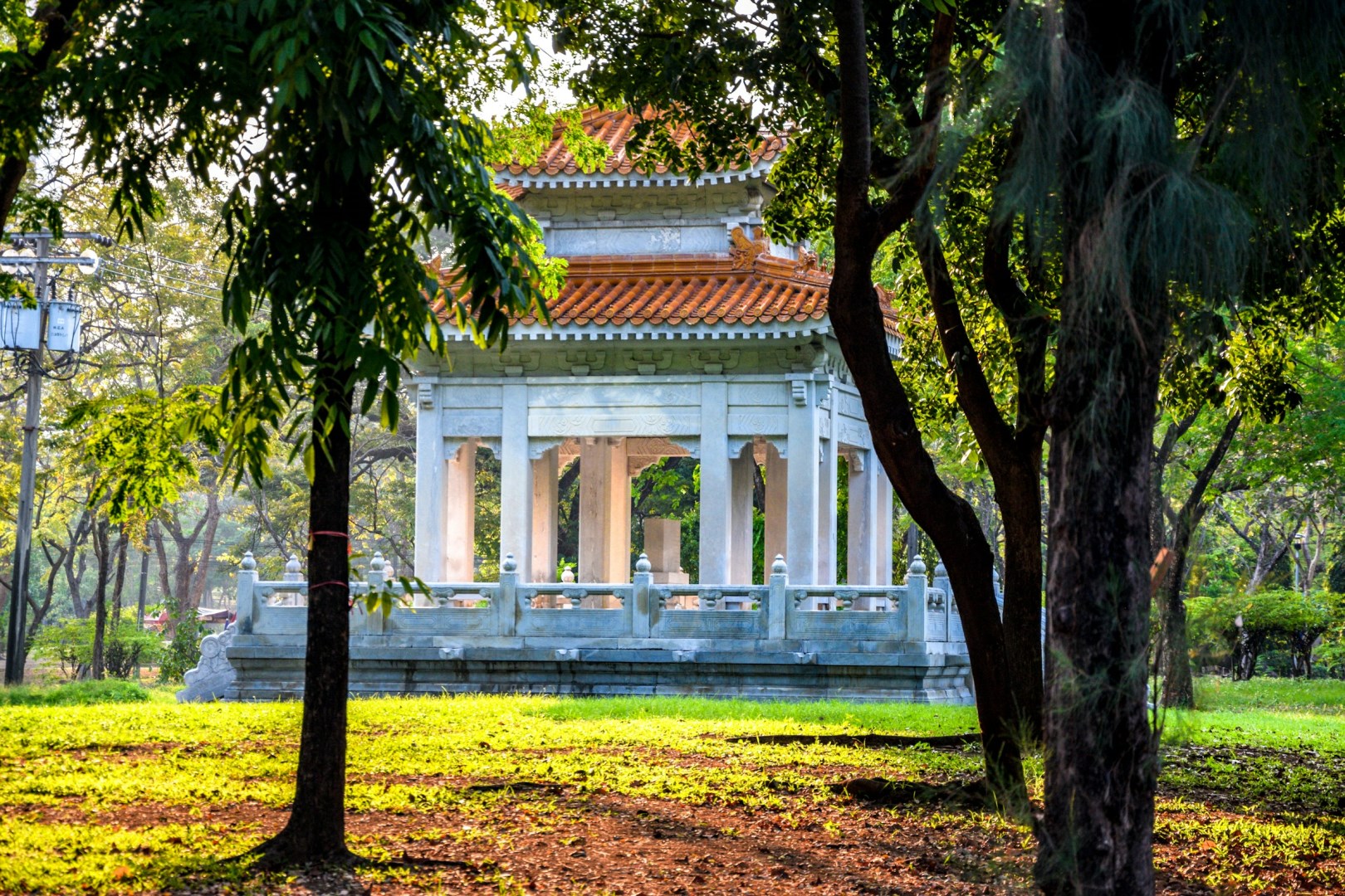 Lumpini park - Photo Credit: Photo by Ivan Nedelchev on Unsplash