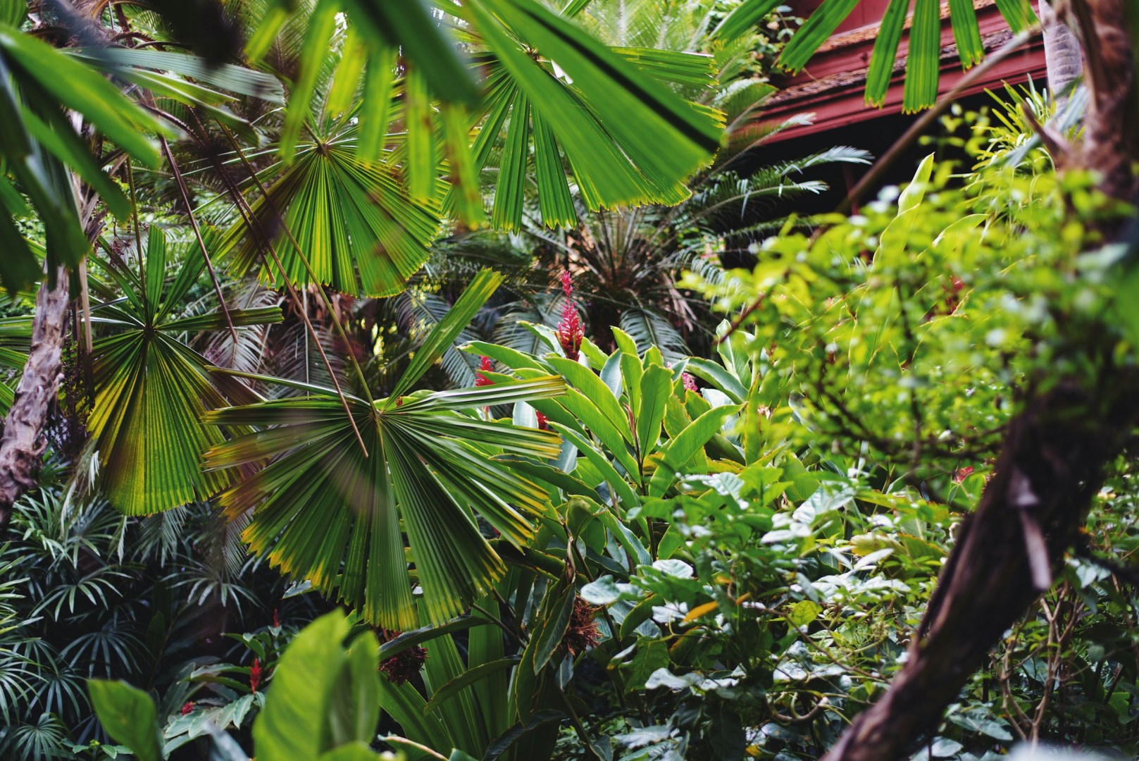 Jim Thompson House - Photo Credit: Photo by Ragnar Vorel on Unsplash