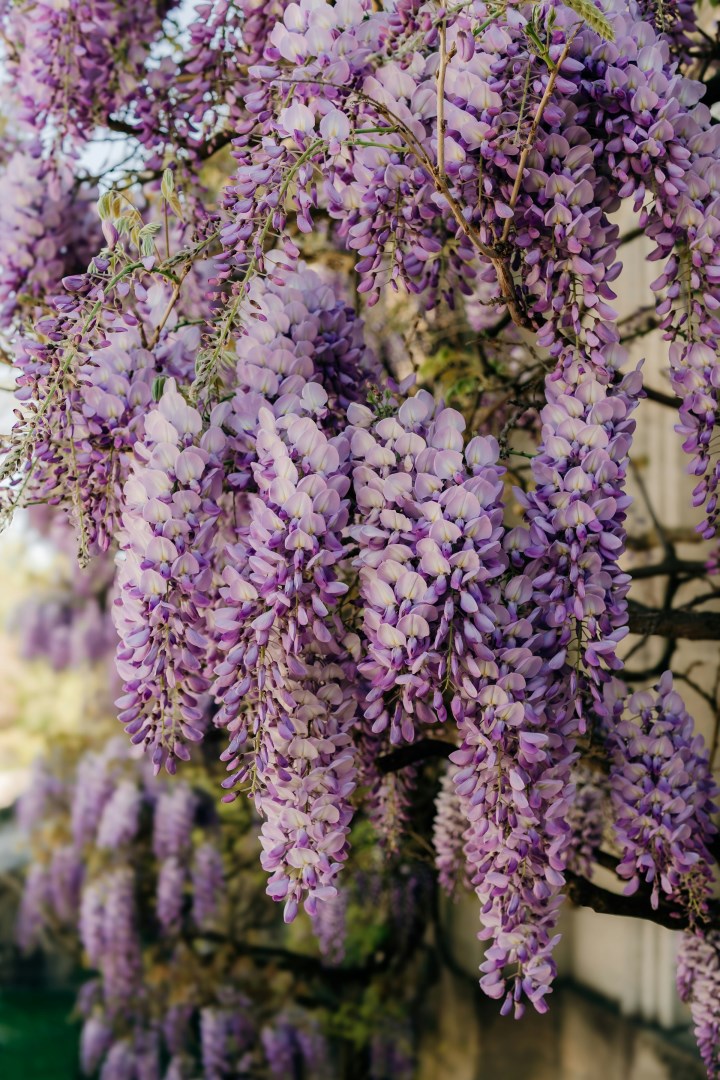  Photo Credit: Photo by Kseniia Poroshkova on Unsplash