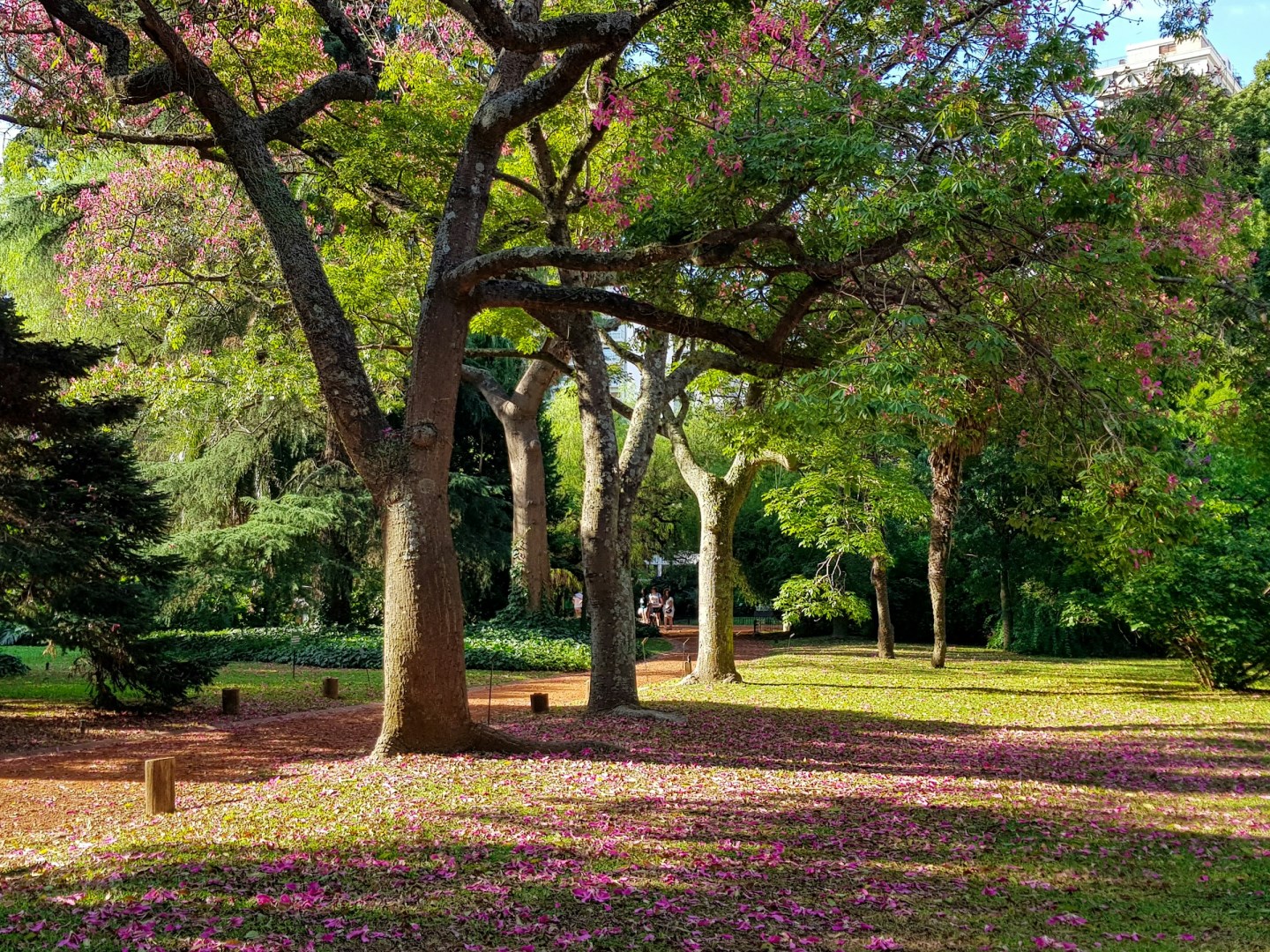 Jardín Botánico Carlos Thays - Photo Credit: Photo by Christian von Koenig on Unsplash