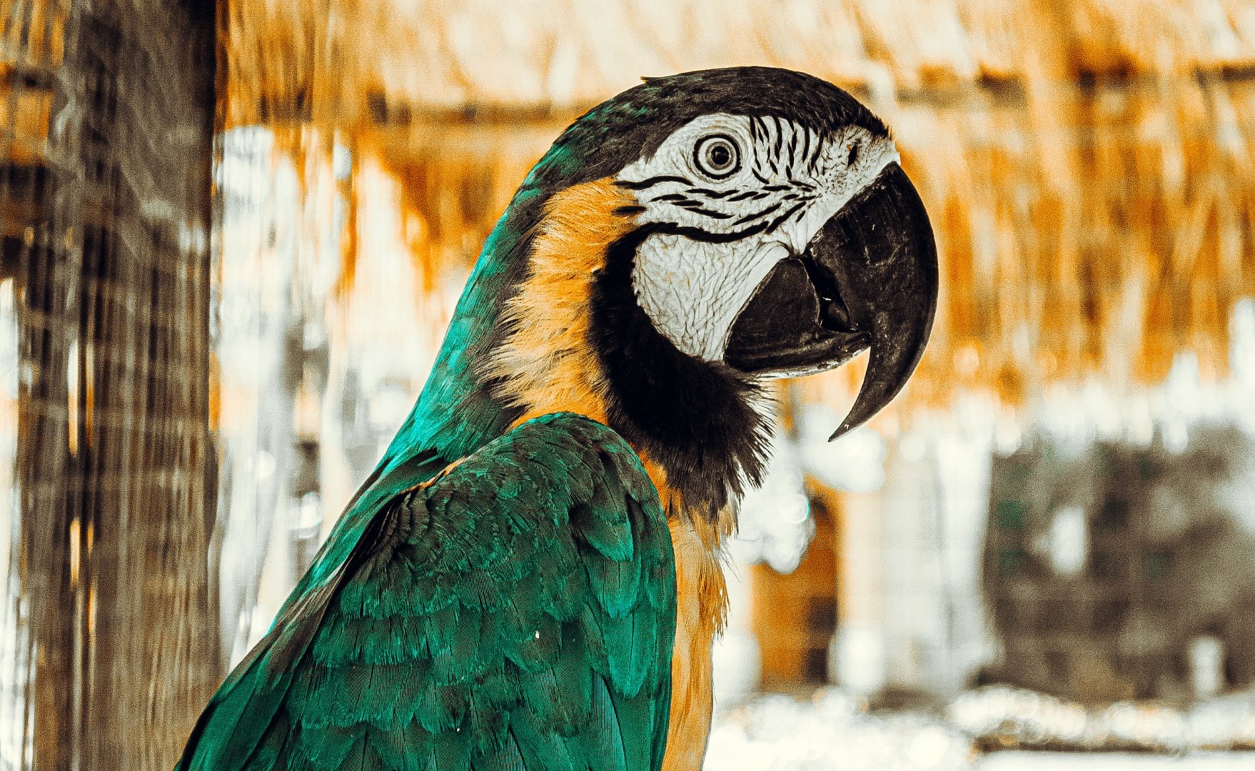  Photo Credit: Photo by Konrad Burdyn on Unsplash