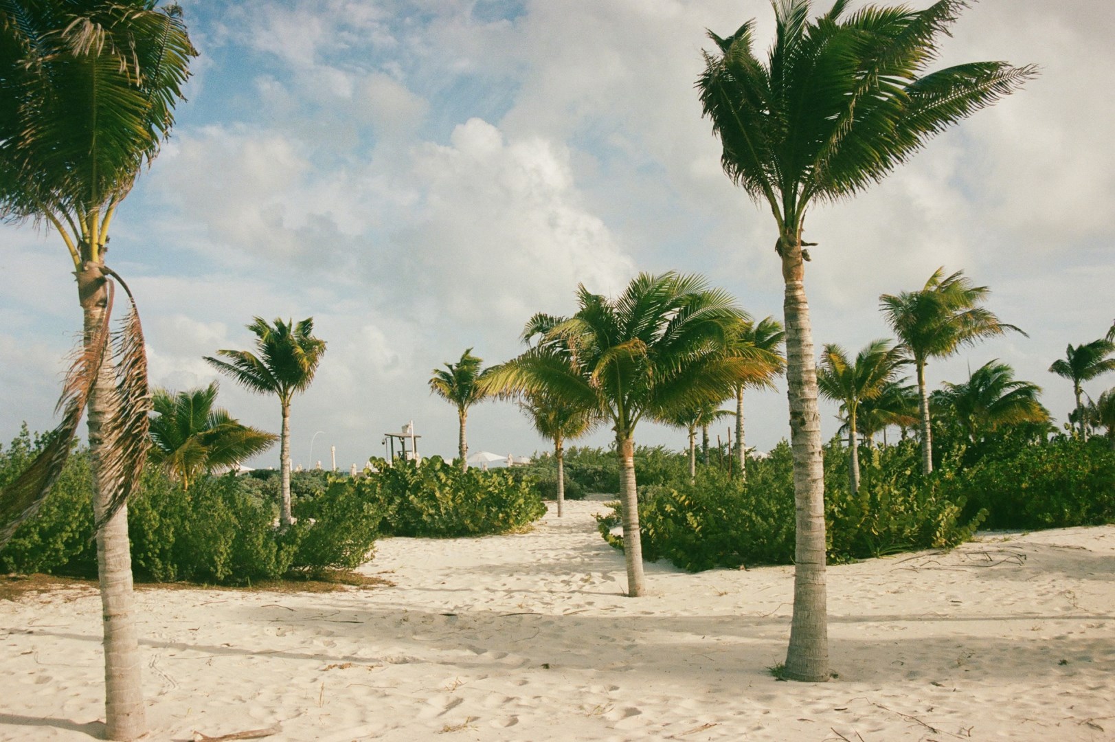  Photo Credit: Photo by Zach Kessinger on Unsplash