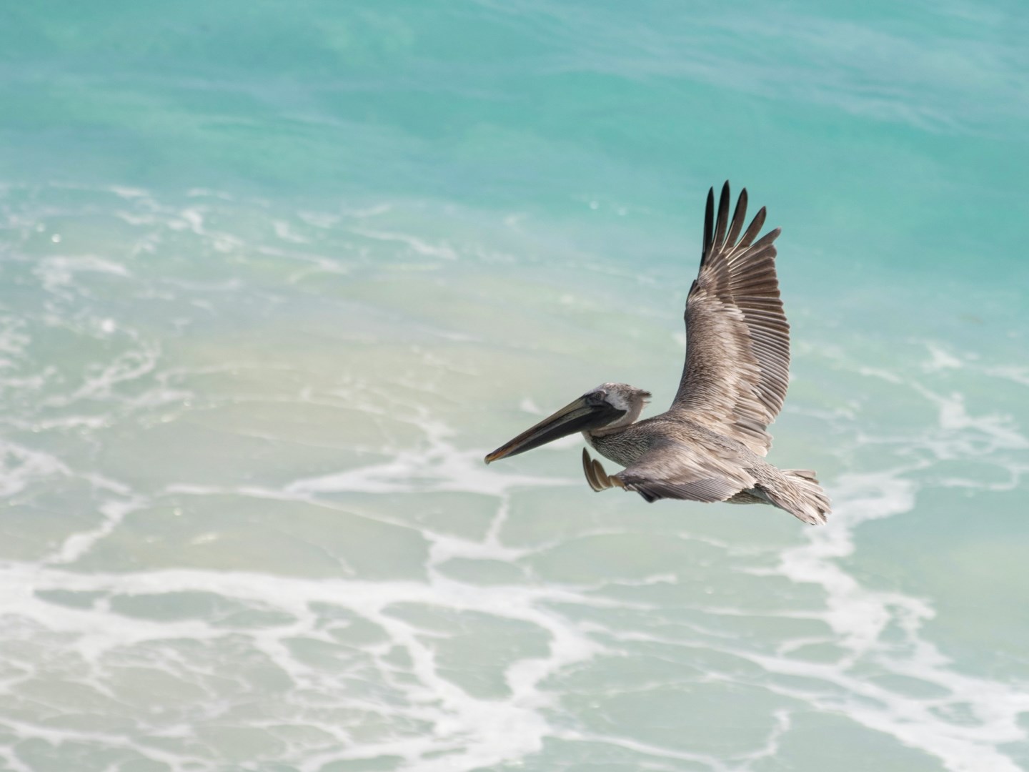  Photo Credit: Photo by Hongbin on Unsplash