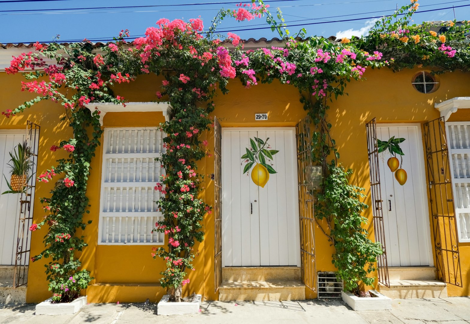 Getsemani - Photo Credit: Photo by Jaime Bishara on Unsplash