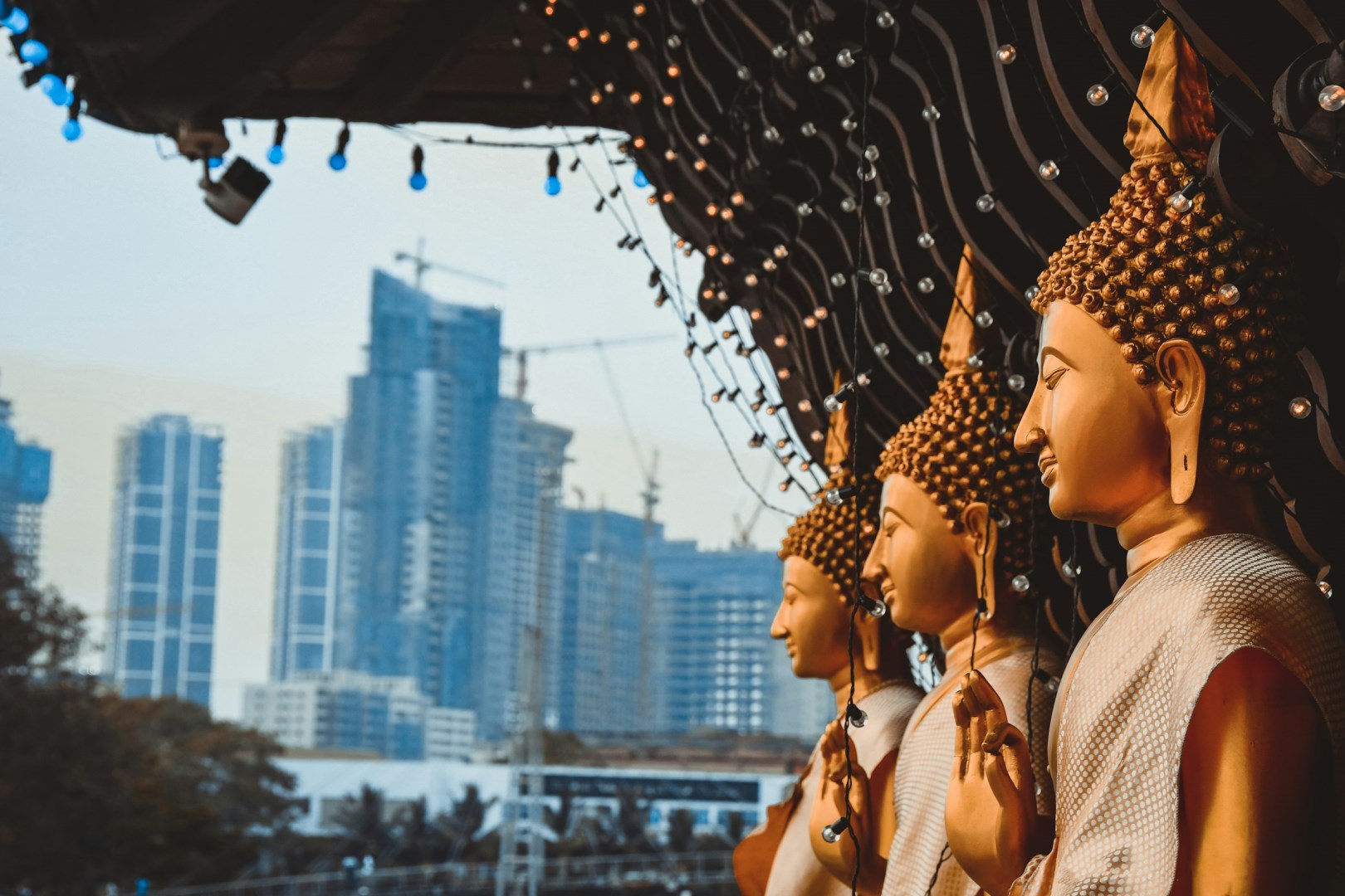  Photo Credit: Photo by Nilanka Kariyawasam on Unsplash