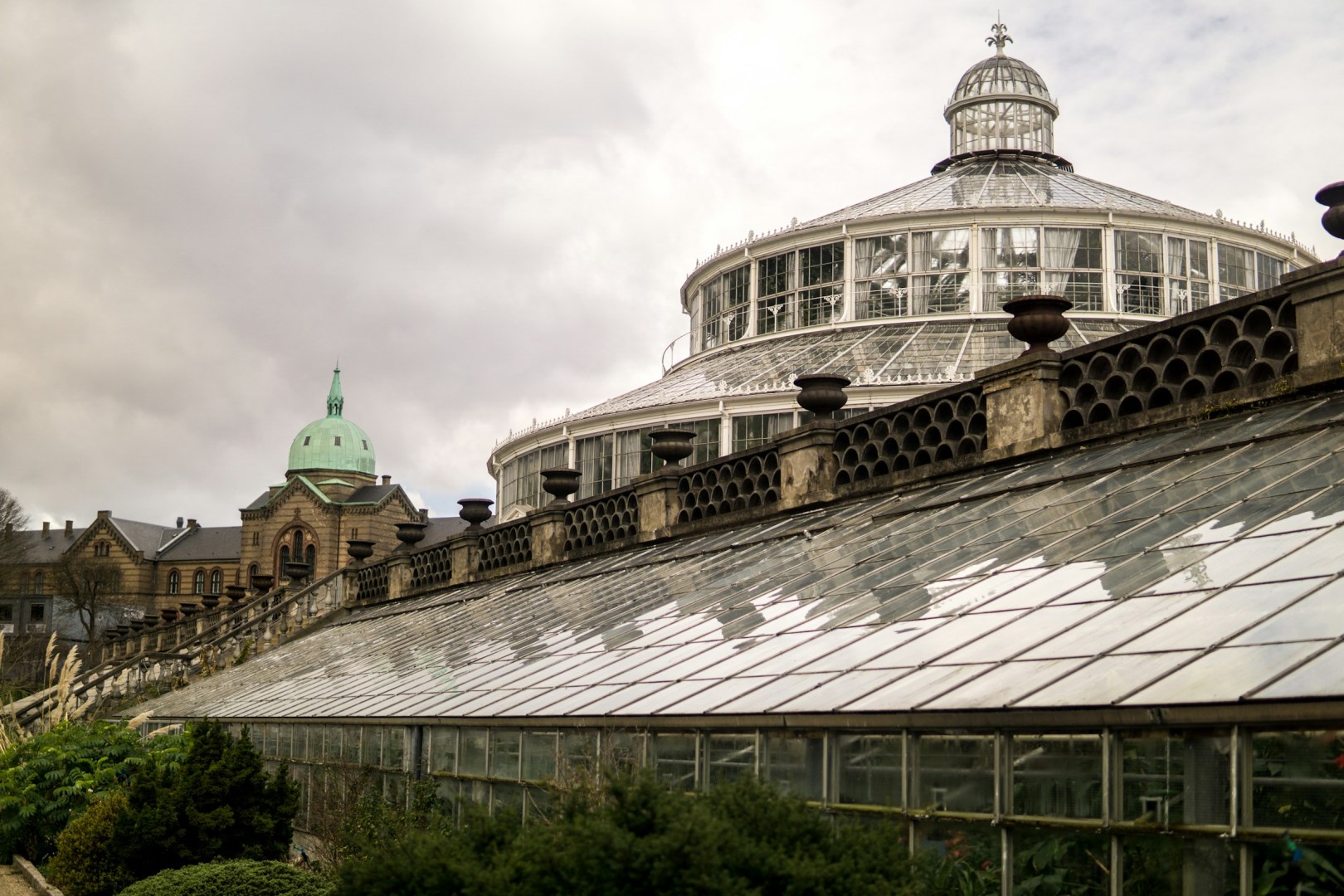 Botanical Garden - Photo Credit: Photo by Javier Rincón on Unsplash