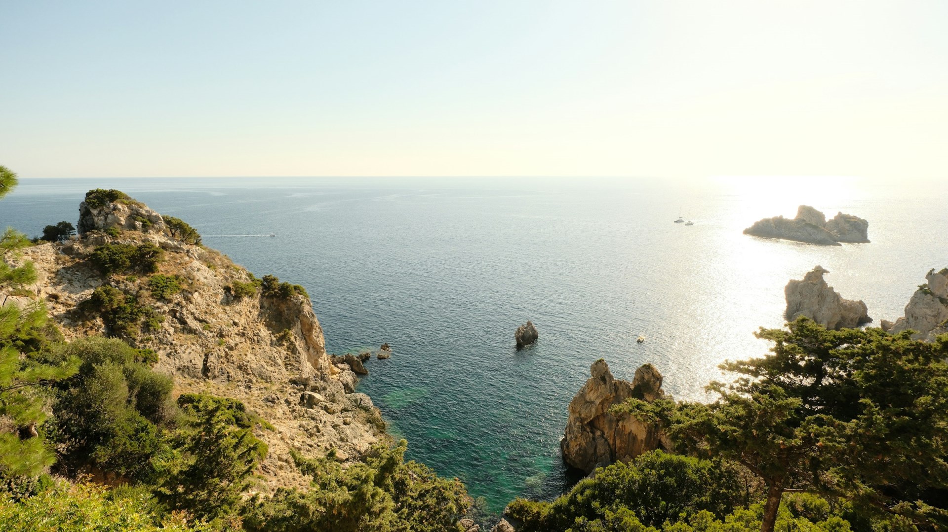  Photo Credit: Photo by Oleg Zarevennyi on Unsplash